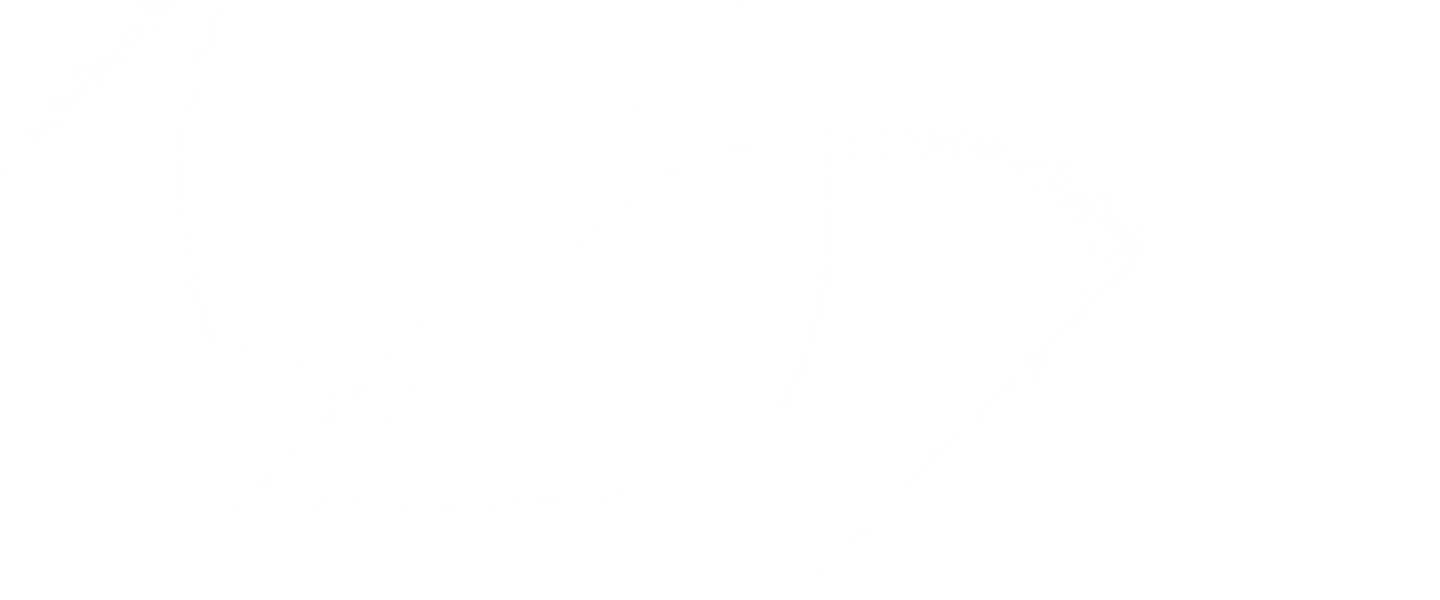 vector